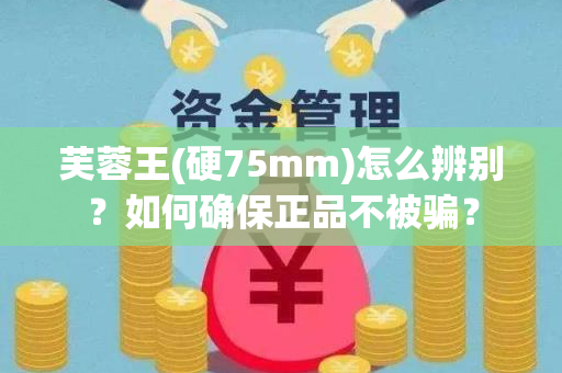 芙蓉王(硬75mm)怎么辨别？如何确保正品不被骗？